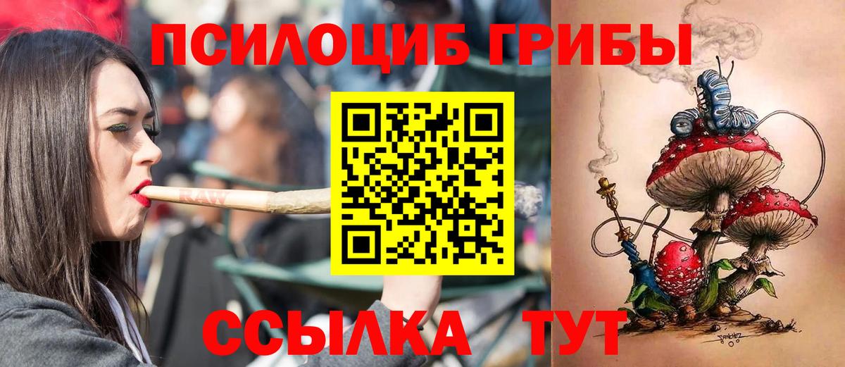 Галлюциногенные грибы ЛСД  закладка  Псилоцибиновые грибы мицелий  Прокопьевск  Вход с VPN 